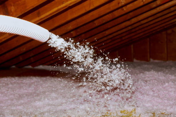 Best Best Insulation Companies  in Brickerville, PA